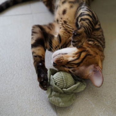 jouet chat lambwolf collective