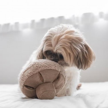 joli jouet occupation chien