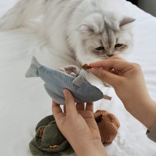 Jouets et accessoires design pour chat - Bagane