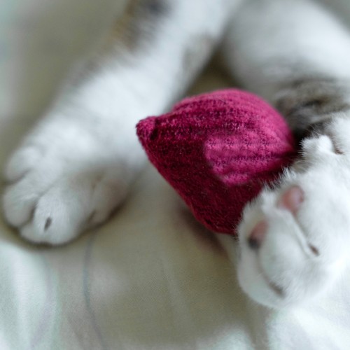 jouet chat radis Bagane