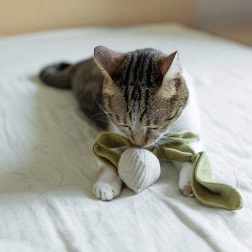 jouet chat design Bagane