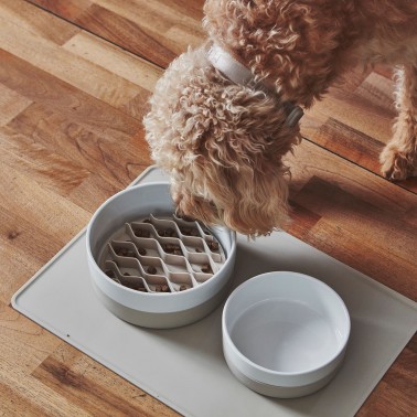 Miacara Coppa - Gamelle design pour chien en porcelaine, socle silicone greige