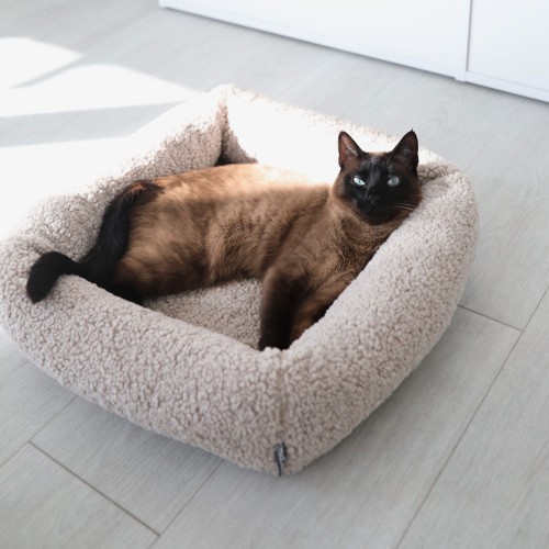 Coussin pour chat confortable écru