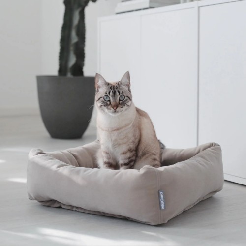 FEANDREA Panier pour Chien, Lit pour Chat, Doux, 50 cm, Kaki