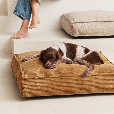 lit chien design haut de gamme bagane