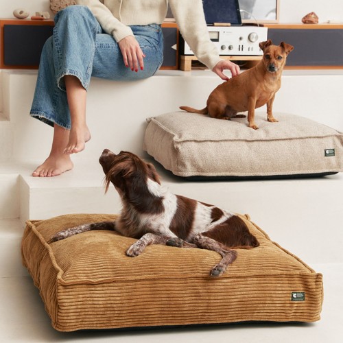 lit pour chien velours côtelé qualité luxe