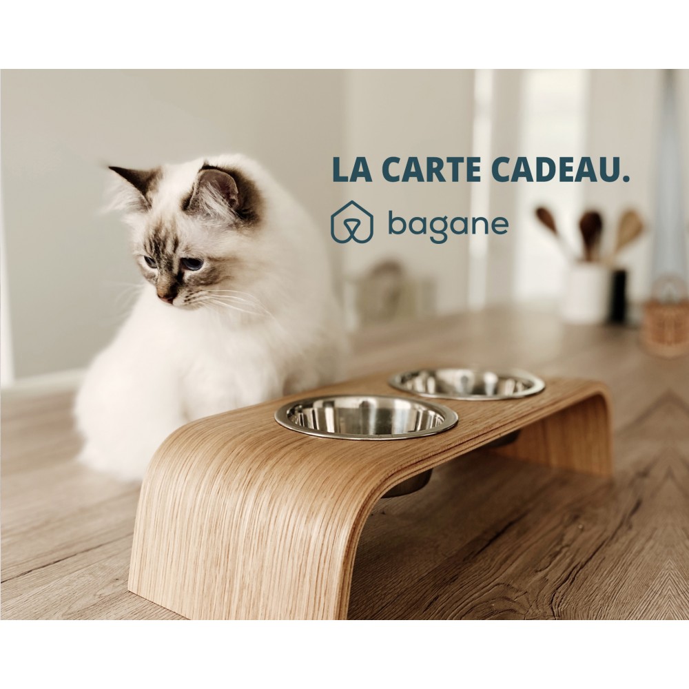 idée cadeau chat