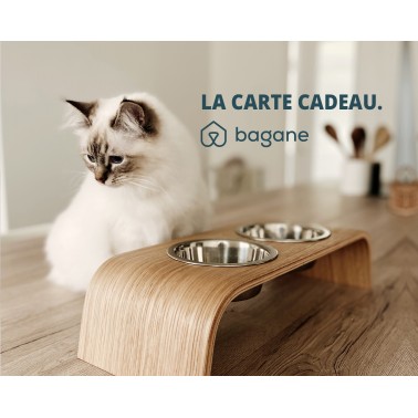 idée cadeau chat