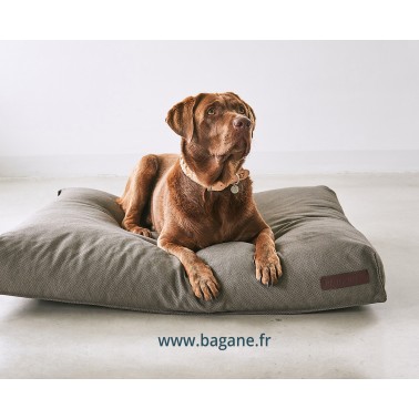 idée cadeau chien