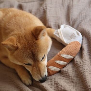 Petit jouet d'occupation pour chien
