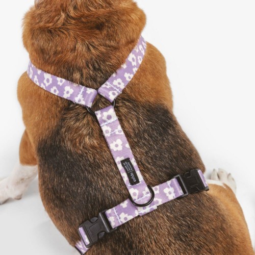 Harnais pour chien en tissu écologique