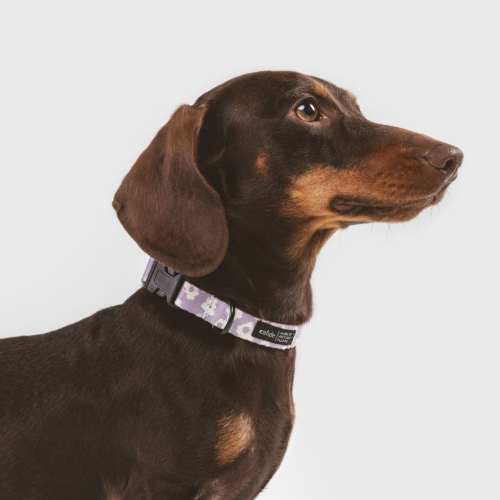 Collier mode pour chien tissu fleurs lilas écologique