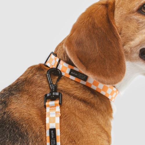 Collier design pour chien en tissu écologique motif carreaux pêche