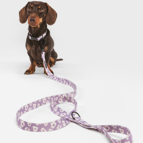 Laisse à poignée en tissu écologique motif fleurs lilas