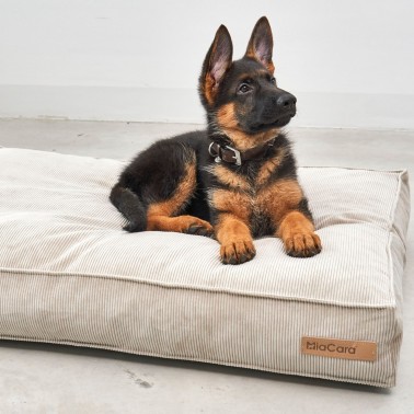 Coussin greige pour chien