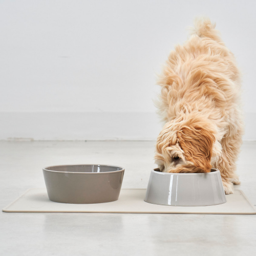 Set de gamelles nougat pour chien