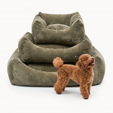 panier chien luxe écologique