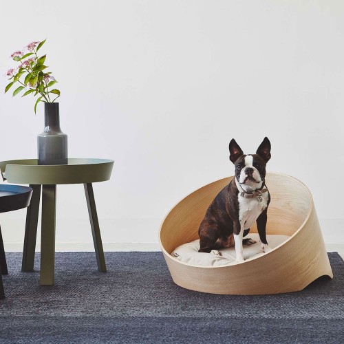 canapé chien design
