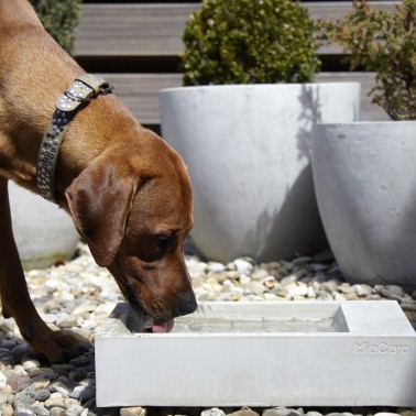 joli gamelle chien outdoor