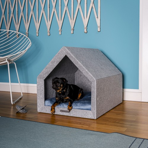 niche intérieur design petit chien