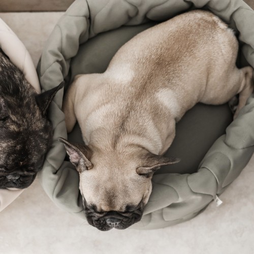 panier chien 2 faces