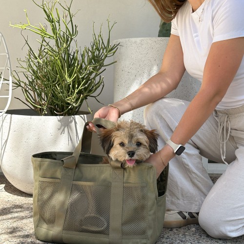 sac de transport chien tendance
