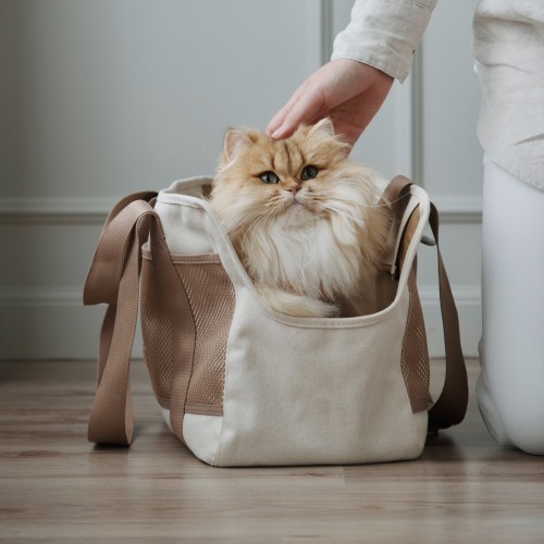 sac de voyage pour chat