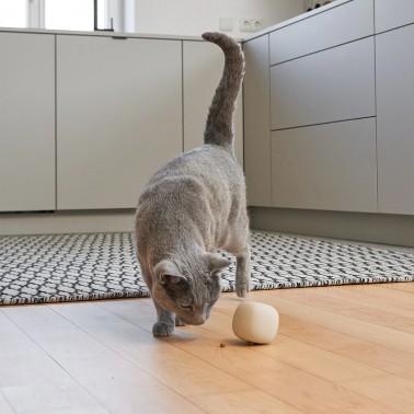 jouet distributeur friandises chat