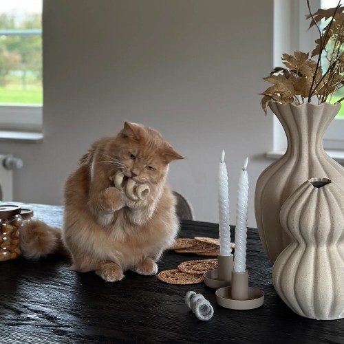 jouet spirale pour chat