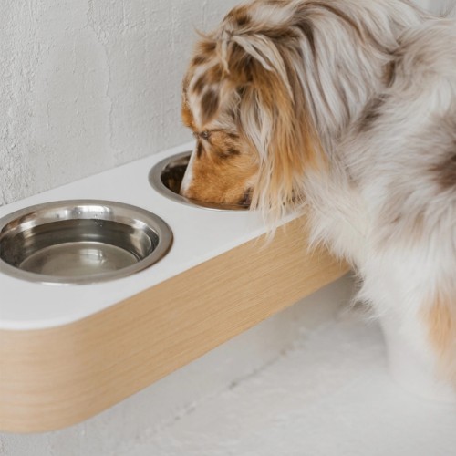 gamelle surélevée chien design