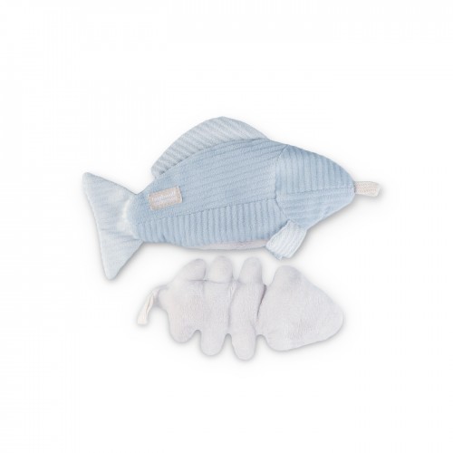 kitty trout