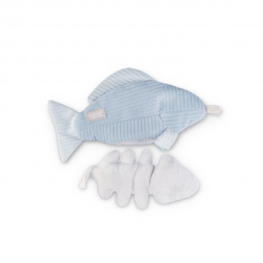 kitty trout