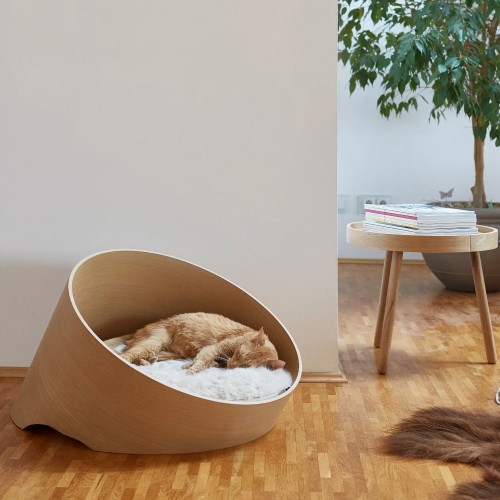 canapé desigtn chat