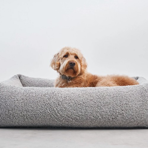 panier chien Miacara Senso gris clair