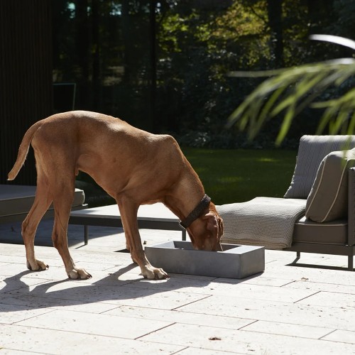gamelle extérieure pour grand chien en béton