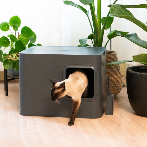 Litière design pour chat Dome Hoopo