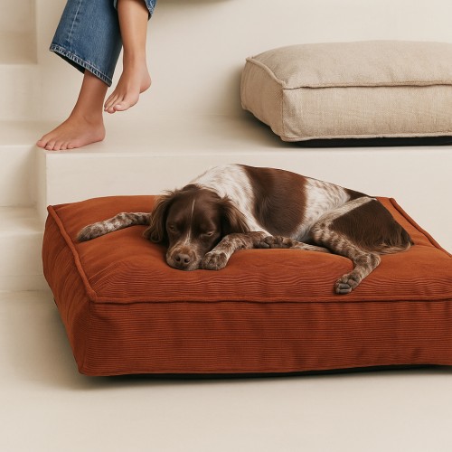 coussin chien déco velours côtelé