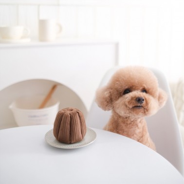 jouet chic pour chien