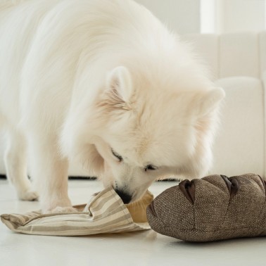 jouet occupation chien spitz