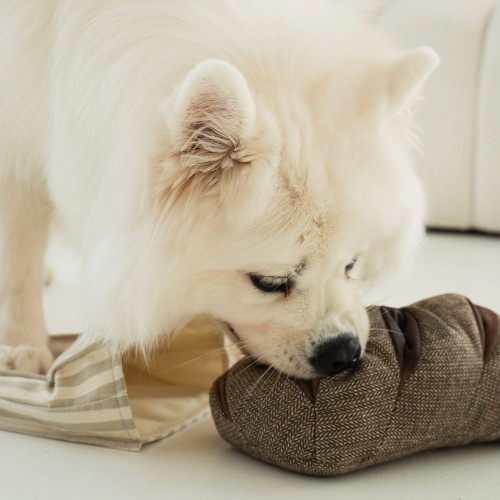 joli jouet pour chien idée cadeau