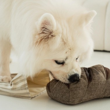 joli jouet pour chien idée cadeau