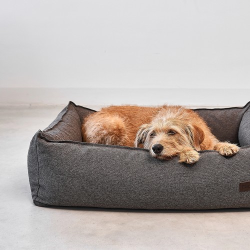 panier chien miacara nube gris fumé