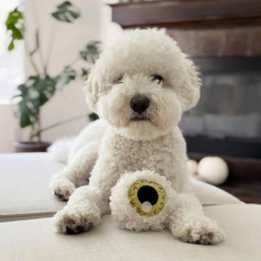 Jouet chien Halloween effrayant