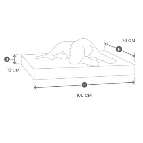 dimensions coussin taille L Bagane Eiffel