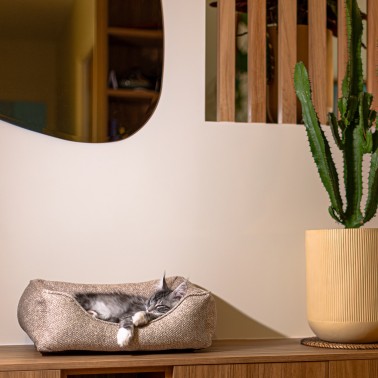 panier chat vendome bagane