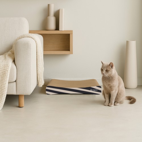 griffoir zèbre concorde