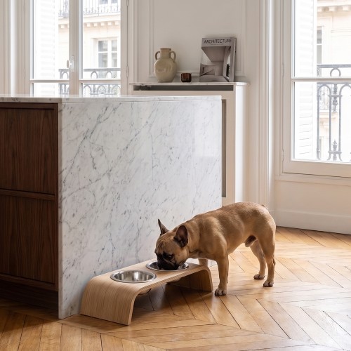 gamelle chien design chêne