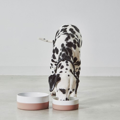 Gamelle design rose nude pour chien dalmatien