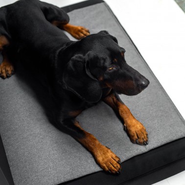 Matelas mémoire de forme pour chien Patja bleu gris et noir