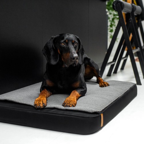 Matelas pour chien « Matela »